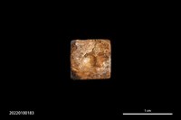 藏品(骨骰)的圖片